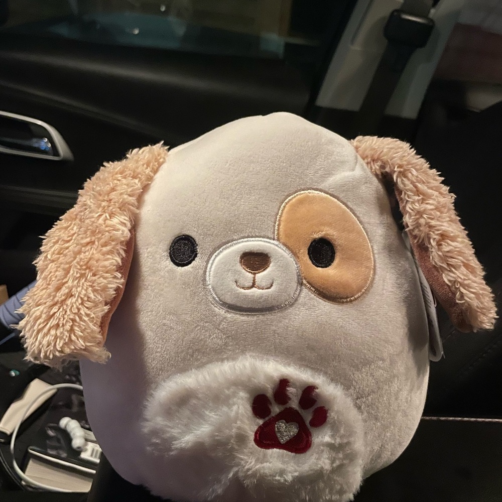 Harrison 8” squishmallow VDay!